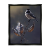 Tuphell Industries Bird Perched Floral Seed Pods Animals & Insects сликање црна плови врамена уметничка печатена wallидна уметност