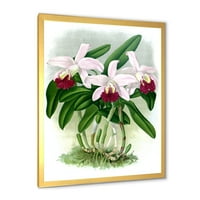 DesignArt 'Бело гроздобер орхидеја цвет i' традиционално врамен уметнички принт