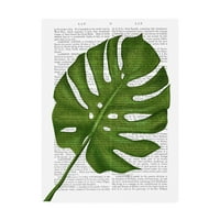 Трговска марка ликовна уметност 'Monstera Leaf 1, зелена на бело' платно уметност од fab funky