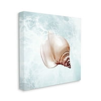 Gruple Industries Наутички плажа Seashell Graphic Art Gallery Wrapped Canvas Print Wall Art, Design By Marcus Prime