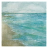 Уметничка галерија на ремек -дело нежни плима и осека од океанот од Керол Робинсон Канвас Уметнички печати30 30