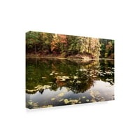 Заштитен знак Ликовна Уметност Есенски Поглед На Шумата Покрај Езерото Платнена Уметност Од Ентони Паладино