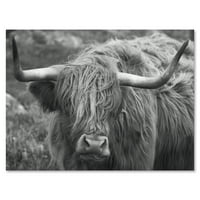 DesignArt 'Затвори на шкотска крава на Морланд I' Фарма куќа платно wallидна уметност печатење