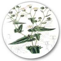 DesignArt 'Антички растителен живот xxii' Традиционална метална wallидна уметност - диск од 11