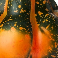 Начин да ја прославите жетвата природна мини -пена тиква, зелена и портокалова боја