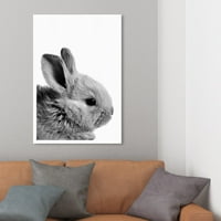 Wynwood Studio 'Bunny Ears' Animals Wall Art Canvas Print - сиво, бело, 20 30
