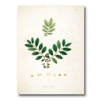 ДизајнАрт „Антички растителен живот xiv“ фарма куќа платно wallидна уметност печатење