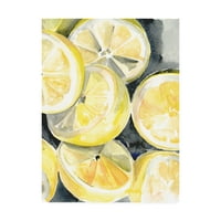 Трговска марка ликовна уметност „парчиња лимон I“ платно уметност од ennенифер Пакстон Паркер