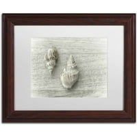 Трговска марка ликовна уметност „Две Канкеларија школки“ платно уметност од Кора Ниле, бела мат, дрвена рамка