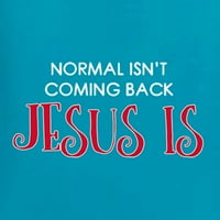 Нормално Не се Враќа Исус Е Инспиративен Христијански Машка Графичка Маица, Лесна Тиркизна, 4x-Голема