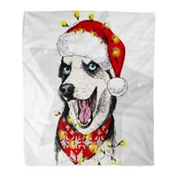 Супер меко фрлање ќебе портрет на сибирско хаски куче, облечено во Дедо Мраз Божиќни светла Гарланд starвезда Дома Декоративна